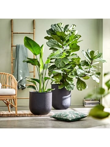 Neu 🔔 Dekoration Butlers Blumentopf Höhe 40cm RAW In Schwarz Günstig Kaufen ✨ 4 Neu 🔔 Dekoration Butlers Blumentopf Höhe 40cm RAW In Schwarz Günstig Kaufen ✨ – Bild 2