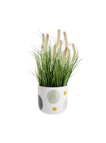 Butlers Blumentopf Kreise Ø17cm SEVENTIES in Weiß-Bunt günstig kaufen Top 10 🔥 Dekoration Butlers Blumentopf Kreise Ø17cm SEVENTIES In Weiß-Bunt Günstig Kaufen 🎁 -Butlers Geschaft butlers blumentopf kreise o17cm seventies in weiss bunt 1