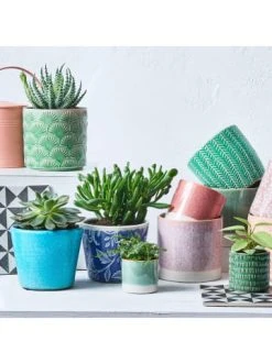 Billig ❤️ Dekoration Butlers Blumentopf Ø 13,5 Cm GREENDAY In Türkis Günstig Kaufen 👏 -Butlers Geschaft butlers blumentopf o 13 5 cm greenday in turkis 1