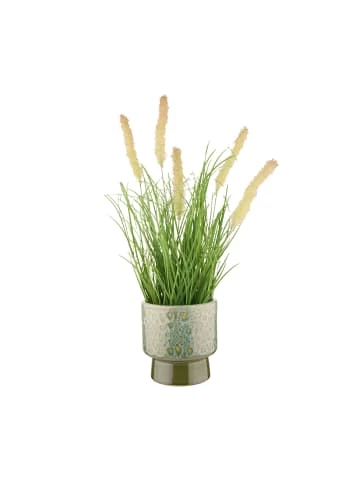 Butlers Blumentopf Ø11cm GREENERY in Grün günstig kaufen Neu 🔥 Dekoration Butlers Blumentopf Ø11cm GREENERY In Grün Günstig Kaufen 🛒 -Butlers Geschaft butlers blumentopf o11cm greenery in grun 1