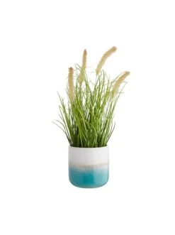 Bestes Angebot 🧨 Dekoration Butlers Blumentopf Ø11cm HORIZON In Mint Günstig Kaufen 🥰 3 Bestes Angebot 🧨 Dekoration Butlers Blumentopf Ø11cm HORIZON In Mint Günstig Kaufen 🥰 -Butlers Geschaft butlers blumentopf o11cm horizon in mint 1