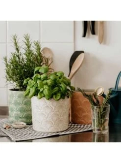 Bestpreis 😀 Dekoration Butlers Blumentopf Ø14cm BLOOMY In Creme Günstig Kaufen 🎁 -Butlers Geschaft butlers blumentopf o14cm bloomy in creme 1