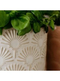 Bestpreis 😀 Dekoration Butlers Blumentopf Ø14cm BLOOMY In Creme Günstig Kaufen 🎁 -Butlers Geschaft butlers blumentopf o14cm bloomy in creme 5