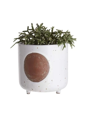 Auslauf 🥰 Dekoration Butlers Blumentopf Ø14cm DOT In Creme Günstig Kaufen 🔥 4 Auslauf 🥰 Dekoration Butlers Blumentopf Ø14cm DOT In Creme Günstig Kaufen 🔥 – Bild 2