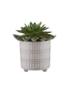 Beste Bewertungen von 🌟 Dekoration Butlers Blumentopf Ø14cm STICHES In Grau-Weiß Günstig Kaufen ✨ 6 Beste Bewertungen von 🌟 Dekoration Butlers Blumentopf Ø14cm STICHES In Grau-Weiß Günstig Kaufen ✨ -Butlers Geschaft butlers blumentopf o14cm stiches in grau weiss 1