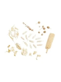 Beste Bewertungen von 👏 Dekoration Butlers Blüten-Mix FLOWER MARKET In Weiß Günstig Kaufen 😀 -Butlers Geschaft butlers bluten mix flower market in weiss 1