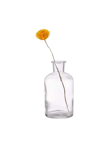 Top 10 ✔️ Dekoration Butlers Dekoflasche Recycling Höhe 12cm LITTLE LIGHT In Transparent Günstig Kaufen 🌟 5 Top 10 ✔️ Dekoration Butlers Dekoflasche Recycling Höhe 12cm LITTLE LIGHT In Transparent Günstig Kaufen 🌟 – Bild 3