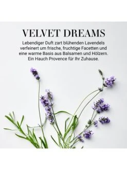 Besorgen 🔔 Dekoration Butlers Duftkerze Velvet Dreams No. 3 Mit Sojawachs HOME & SOUL In Pastelllila Günstig Kaufen 😍 12 Besorgen 🔔 Dekoration Butlers Duftkerze Velvet Dreams No. 3 Mit Sojawachs HOME & SOUL In Pastelllila Günstig Kaufen 😍 -Butlers Geschaft butlers duftkerze velvet dreams no 3 mit sojawachs home and soul in pastelllila 2