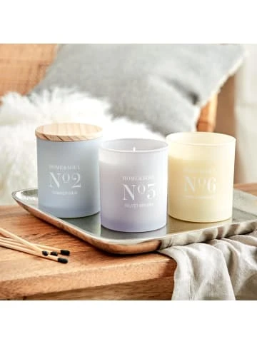 Besorgen 🔔 Dekoration Butlers Duftkerze Velvet Dreams No. 3 Mit Sojawachs HOME & SOUL In Pastelllila Günstig Kaufen 😍 8 Besorgen 🔔 Dekoration Butlers Duftkerze Velvet Dreams No. 3 Mit Sojawachs HOME & SOUL In Pastelllila Günstig Kaufen 😍 – Bild 6