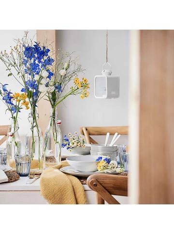 Bestes Angebot 🛒 Outdoor & Sport Butlers Flasche Mit Bügelverschluss 1000ml SWING In Transparent Günstig Kaufen ✨ 4 Bestes Angebot 🛒 Outdoor & Sport Butlers Flasche Mit Bügelverschluss 1000ml SWING In Transparent Günstig Kaufen ✨ – Bild 2