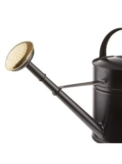 Schlussverkauf ⌛ Garten & Balkon Butlers Gießkanne 8l ZINC In Schwarz Günstig Kaufen 🤩 -Butlers Geschaft butlers giesskanne 8l zinc in schwarz 3
