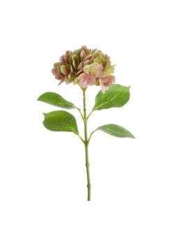 Blitzangebot 👏 Garten & Balkon Butlers Hortensie Länge 66cm FLORISTA In Pastellrot Günstig Kaufen 👏 -Butlers Geschaft butlers hortensie lange 66cm florista in pastellrot 1