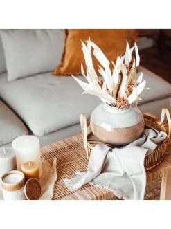 Bestes Angebot 🛒 Dekoration Butlers Kugelvase Höhe 20cm LIVIA In Creme-Rosa Günstig Kaufen 🧨 3 Bestes Angebot 🛒 Dekoration Butlers Kugelvase Höhe 20cm LIVIA In Creme-Rosa Günstig Kaufen 🧨 -Butlers Geschaft butlers kugelvase hohe 20cm livia in creme rosa 1