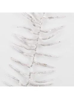 Brandneu 🤩 Weihnachten Butlers Lichterkette Cluster 288 Lichter BRIGHT LIGHTS In Transparent Günstig Kaufen 🛒 -Butlers Geschaft butlers lichterkette cluster 288 lichter bright lights in transparent 2