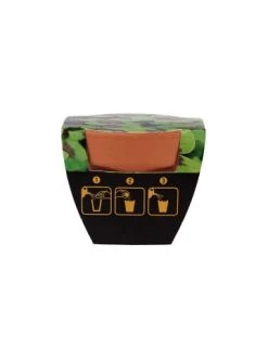 Bester Verkauf 👍 Dekoration Butlers Mini-Topf Glücksklee LUCKY LOOK In Grün Günstig Kaufen ⭐ 9 Bester Verkauf 👍 Dekoration Butlers Mini-Topf Glücksklee LUCKY LOOK In Grün Günstig Kaufen ⭐ -Butlers Geschaft butlers mini topf glucksklee lucky look in grun 2