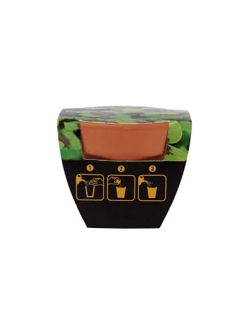 Bester Verkauf 👍 Dekoration Butlers Mini-Topf Glücksklee LUCKY LOOK In Grün Günstig Kaufen ⭐ 5 Bester Verkauf 👍 Dekoration Butlers Mini-Topf Glücksklee LUCKY LOOK In Grün Günstig Kaufen ⭐ – Bild 3