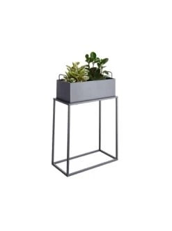 Coupon 🔥 Garten & Balkon Butlers Pflanzkasten Mit Gestell B 45 X T 21cm PLANTA In Grau Günstig Kaufen 🌟 -Butlers Geschaft butlers pflanzkasten mit gestell b 45 x t 21cm planta in grau 2