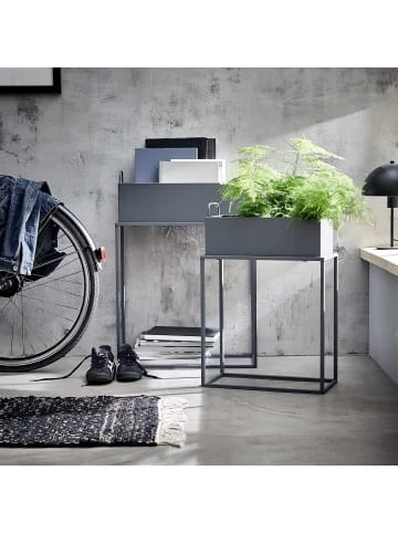 Budget 🌟 Garten & Balkon Butlers Pflanzkasten Mit Gestell B 55 X T 25cm PLANTA In Grau Günstig Kaufen ✔️ 4 Budget 🌟 Garten & Balkon Butlers Pflanzkasten Mit Gestell B 55 X T 25cm PLANTA In Grau Günstig Kaufen ✔️ – Bild 2