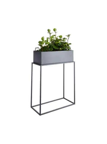 Budget 🌟 Garten & Balkon Butlers Pflanzkasten Mit Gestell B 55 X T 25cm PLANTA In Grau Günstig Kaufen ✔️ 5 Budget 🌟 Garten & Balkon Butlers Pflanzkasten Mit Gestell B 55 X T 25cm PLANTA In Grau Günstig Kaufen ✔️ – Bild 3