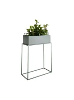 Bester Verkauf 😍 Garten & Balkon Butlers Pflanzkasten Mit Gestell B 55 X T 25cm PLANTA In Salbei Günstig Kaufen ⭐ -Butlers Geschaft butlers pflanzkasten mit gestell b 55 x t 25cm planta in salbei 2