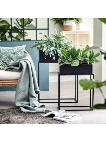 Auslauf 🧨 Garten & Balkon Butlers Pflanzkasten Mit Gestell B 55 X T 25cm PLANTA In Schwarz Günstig Kaufen 💯 4 Auslauf 🧨 Garten & Balkon Butlers Pflanzkasten Mit Gestell B 55 X T 25cm PLANTA In Schwarz Günstig Kaufen 💯 – Bild 2