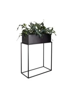 Auslauf 🧨 Garten & Balkon Butlers Pflanzkasten Mit Gestell B 55 X T 25cm PLANTA In Schwarz Günstig Kaufen 💯 10 Auslauf 🧨 Garten & Balkon Butlers Pflanzkasten Mit Gestell B 55 X T 25cm PLANTA In Schwarz Günstig Kaufen 💯 -Butlers Geschaft butlers pflanzkasten mit gestell b 55 x t 25cm planta in schwarz 2