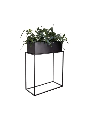 Auslauf 🧨 Garten & Balkon Butlers Pflanzkasten Mit Gestell B 55 X T 25cm PLANTA In Schwarz Günstig Kaufen 💯 5 Auslauf 🧨 Garten & Balkon Butlers Pflanzkasten Mit Gestell B 55 X T 25cm PLANTA In Schwarz Günstig Kaufen 💯 – Bild 3
