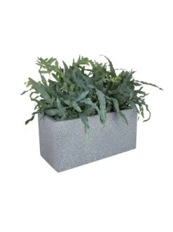Großhandel 🎉 Garten & Balkon Butlers Pflanzkasten Outdoor B 50 X T 22cm CONCRETE In Grau Günstig Kaufen 🔔 15 Großhandel 🎉 Garten & Balkon Butlers Pflanzkasten Outdoor B 50 X T 22cm CONCRETE In Grau Günstig Kaufen 🔔 -Butlers Geschaft butlers pflanzkasten outdoor b 50 x t 22cm concrete in grau 6