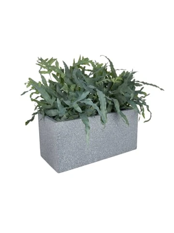 Großhandel 🎉 Garten & Balkon Butlers Pflanzkasten Outdoor B 50 X T 22cm CONCRETE In Grau Günstig Kaufen 🔔 9 Großhandel 🎉 Garten & Balkon Butlers Pflanzkasten Outdoor B 50 X T 22cm CONCRETE In Grau Günstig Kaufen 🔔 – Bild 7