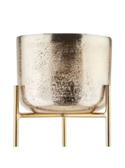 Rabatt 🤩 Dekoration Butlers Pflanztopf Mit Ständer Höhe 62cm BANQUET In Gold Günstig Kaufen 😉 11 Rabatt 🤩 Dekoration Butlers Pflanztopf Mit Ständer Höhe 62cm BANQUET In Gold Günstig Kaufen 😉 -Butlers Geschaft butlers pflanztopf mit stander hohe 62cm banquet in gold 4