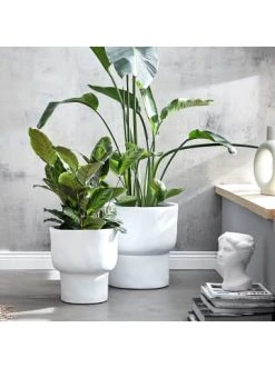 Blitzangebot 🔥 Dekoration Butlers Pflanztopf Ø39cm LOFT In Weiß Günstig Kaufen 🥰 -Butlers Geschaft butlers pflanztopf o39cm loft in weiss 1