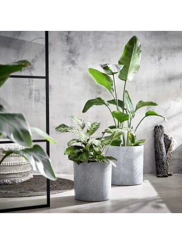 Butlers Pflanztopf Outdoor Höhe 33cm CONCRETE in Grau günstig kaufen Bestpreis ⌛ Garten & Balkon Butlers Pflanztopf Outdoor Höhe 33cm CONCRETE In Grau Günstig Kaufen 🌟 -Butlers Geschaft butlers pflanztopf outdoor hohe 33cm concrete in grau 1