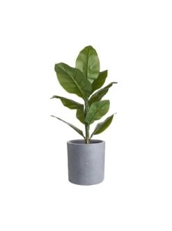 Bestpreis ⌛ Garten & Balkon Butlers Pflanztopf Outdoor Höhe 33cm CONCRETE In Grau Günstig Kaufen 🌟 4 Bestpreis ⌛ Garten & Balkon Butlers Pflanztopf Outdoor Höhe 33cm CONCRETE In Grau Günstig Kaufen 🌟 -Butlers Geschaft butlers pflanztopf outdoor hohe 33cm concrete in grau 2