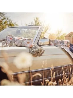 Angebote 🎉 Heimtextilien Butlers Picknickdecke L 175 X B 154cm BETWEEN FLOWERS In Dunkelblau Günstig Kaufen ✔️ 21 Angebote 🎉 Heimtextilien Butlers Picknickdecke L 175 X B 154cm BETWEEN FLOWERS In Dunkelblau Günstig Kaufen ✔️ -Butlers Geschaft butlers picknickdecke l 175 x b 154cm between flowers in dunkelblau 9