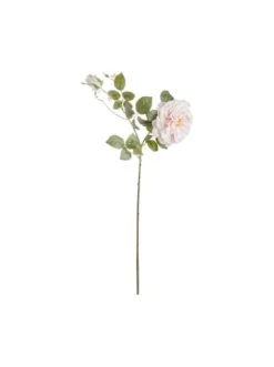 Schlussverkauf ⌛ Dekoration Butlers Rose Höhe 79cm FLORISTA In Hellrosa Günstig Kaufen 😀
