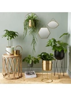 Blitzangebot 🔥 Dekoration Butlers Spiegel Augenform L 27 X B 17cm CARAT In Gold Günstig Kaufen ✔️ 11 Blitzangebot 🔥 Dekoration Butlers Spiegel Augenform L 27 X B 17cm CARAT In Gold Günstig Kaufen ✔️ -Butlers Geschaft butlers spiegel augenform l 27 x b 17cm carat in gold 3