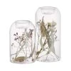 Top 10 ❤️ Dekoration Butlers Teelichthalter-Set 2-tlg. Mit Individuellen Trockenblumen FLOWER MARKET In Transparent Günstig Kaufen 🛒 -Butlers Geschaft butlers teelichthalter set 2 tlg mit individuellen trockenblumen flower market in transparent