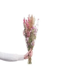 Schlussverkauf 😍 Dekoration Butlers Trockenblumen Blumenstrauß FLOWER MARKET In Bunt Günstig Kaufen ✔️