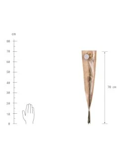 Schlussverkauf 😉 Dekoration Butlers Trockenblumen Craspedia Länge 70cm FLOWER MARKET In Gelb Günstig Kaufen 👍 9 Schlussverkauf 😉 Dekoration Butlers Trockenblumen Craspedia Länge 70cm FLOWER MARKET In Gelb Günstig Kaufen 👍 -Butlers Geschaft butlers trockenblumen craspedia lange 70cm flower market in gelb 2