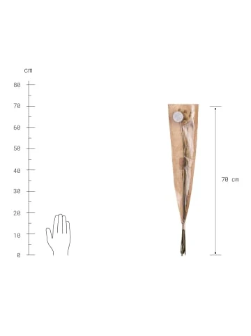 Schlussverkauf 😉 Dekoration Butlers Trockenblumen Craspedia Länge 70cm FLOWER MARKET In Gelb Günstig Kaufen 👍 5 Schlussverkauf 😉 Dekoration Butlers Trockenblumen Craspedia Länge 70cm FLOWER MARKET In Gelb Günstig Kaufen 👍 – Bild 3