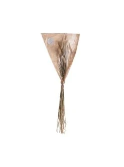 Blitzangebot 😍 Dekoration Butlers Trockenblumen Lagurusgras Länge 70cm FLOWER MARKET In Natur Günstig Kaufen ✨ -Butlers Geschaft butlers trockenblumen lagurusgras lange 70cm flower market in natur 3