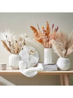 Beste Bewertungen von 🧨 Dekoration Butlers Trockenblumen Pampasgras Länge 70cm FLOWER MARKET In Natur Günstig Kaufen ⭐ -Butlers Geschaft butlers trockenblumen pampasgras lange 70cm flower market in natur 1