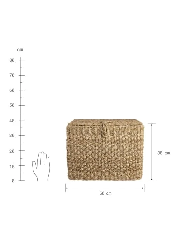 Butlers Truhe rechteckig L 50 x B 35cm ERLA in Natur günstig kaufen Angebote ✨ Dekoration Butlers Truhe Rechteckig L 50 X B 35cm ERLA In Natur Günstig Kaufen ⌛ -Butlers Geschaft butlers truhe rechteckig l 50 x b 35cm erla in natur 2