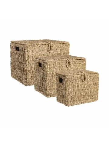 Butlers Truhe rechteckig L 50 x B 35cm ERLA in Natur günstig kaufen Angebote ✨ Dekoration Butlers Truhe Rechteckig L 50 X B 35cm ERLA In Natur Günstig Kaufen ⌛ -Butlers Geschaft butlers truhe rechteckig l 50 x b 35cm erla in natur 4