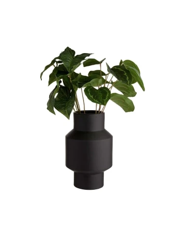 Coupon 🛒 Dekoration Butlers Vase Höhe 26cm RUNA In Schwarz Günstig Kaufen ⭐ 5 Coupon 🛒 Dekoration Butlers Vase Höhe 26cm RUNA In Schwarz Günstig Kaufen ⭐ – Bild 3