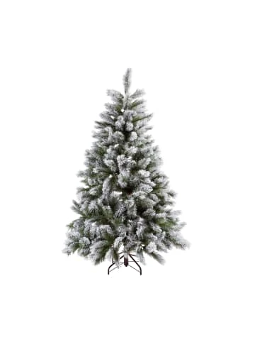 Butlers Weihnachtsbaum Fichte mit Schnee Höhe 180cm TREE OF THE MONTH in Grün günstig kaufen Am billigsten ✨ Weihnachten Butlers Weihnachtsbaum Fichte Mit Schnee Höhe 180cm TREE OF THE MONTH In Grün Günstig Kaufen ✔️ -Butlers Geschaft butlers weihnachtsbaum fichte mit schnee hohe 180cm tree of the month in grun