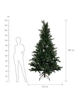 Bester Verkauf 👏 Weihnachten Butlers Weihnachtsbaum Höhe 240cm TREE OF THE MONTH In Grün Günstig Kaufen 🌟 5 Bester Verkauf 👏 Weihnachten Butlers Weihnachtsbaum Höhe 240cm TREE OF THE MONTH In Grün Günstig Kaufen 🌟 -Butlers Geschaft butlers weihnachtsbaum hohe 240cm tree of the month in grun 1